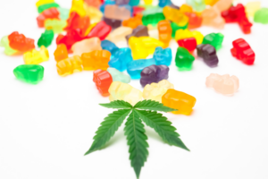 Shop Edibles at Cape Cod Cannabis in Wellfleet, MA