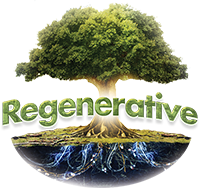 Regenerative, LLC