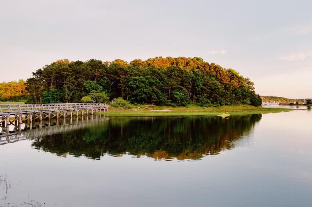 Exploring Wellfleet, MA: A Hidden Gem on Cape Cod | Cape Cod Cannabis Dispensary in Wellfleet, MA - It's worth the trip!