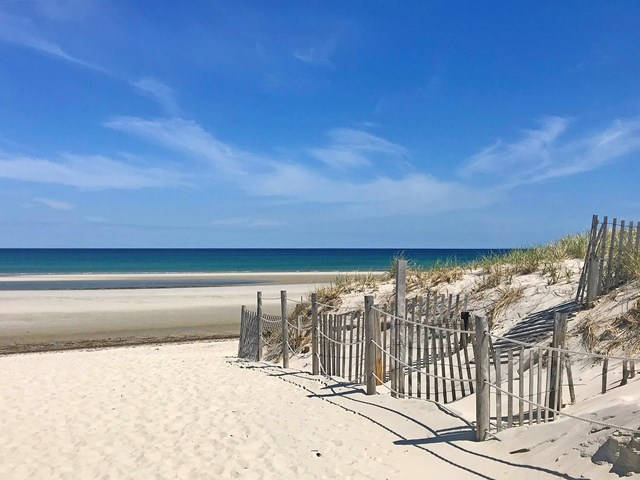 Cape Cod Cannabis Recreational Dispensary Near Dennis, MA