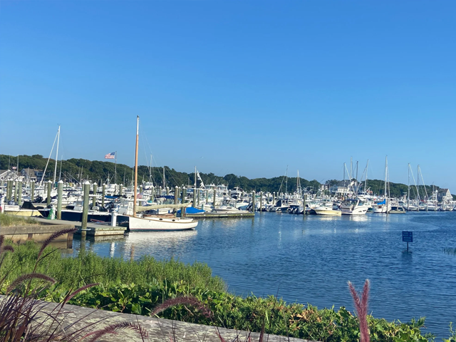 Cape Cod Cannabis Recreational Dispensary near Harwich, MA