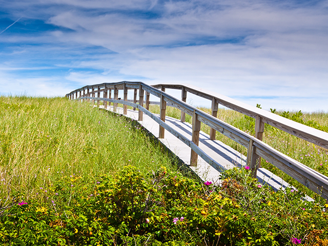 Cape Cod Cannabis Recreational Dispensary near Sandwich, MA