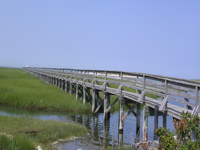 Cape Cod Cannabis Recreational Dispensary near Yarmouth, MA