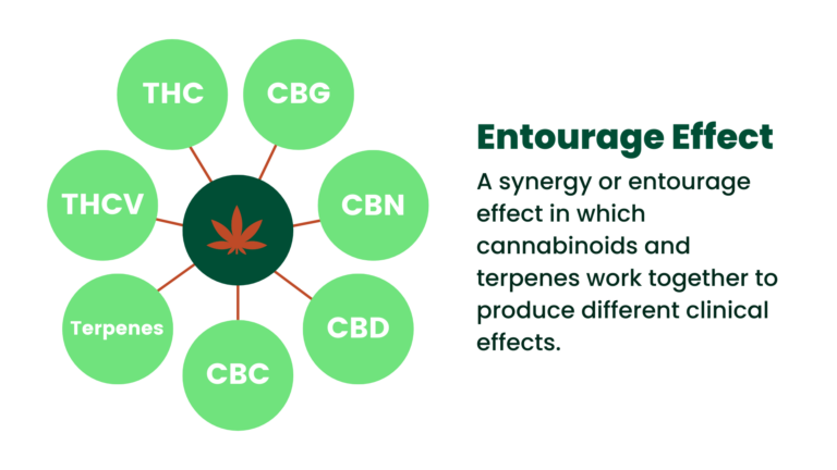 High THC and the Entourage Effect