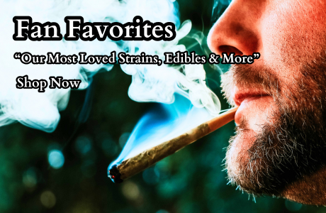 Home | Cape Cod Cannabis Dispensary Near Me in Wellfleet, MA - It's worth the trip!