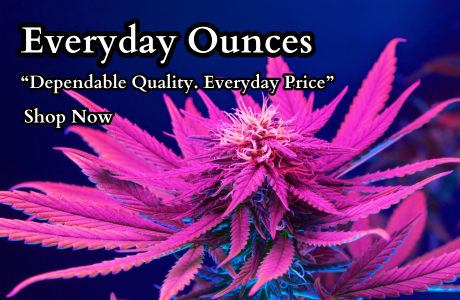 Cape Cod Cannabis Recreational Dispensary near me in Wellfleet, MA