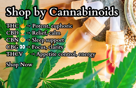 Cape Cod Cannabis Recreational Dispensary near me in Wellfleet, MA