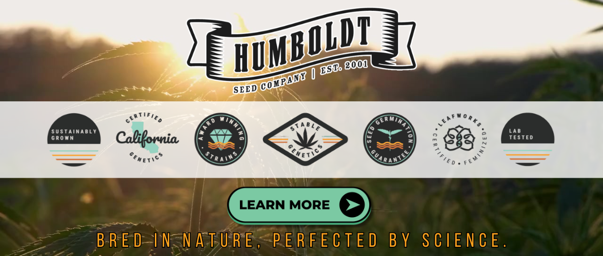 Shop Humboldt Premium Seeds at Cape Cod Cannabis in Wellfleet, MA